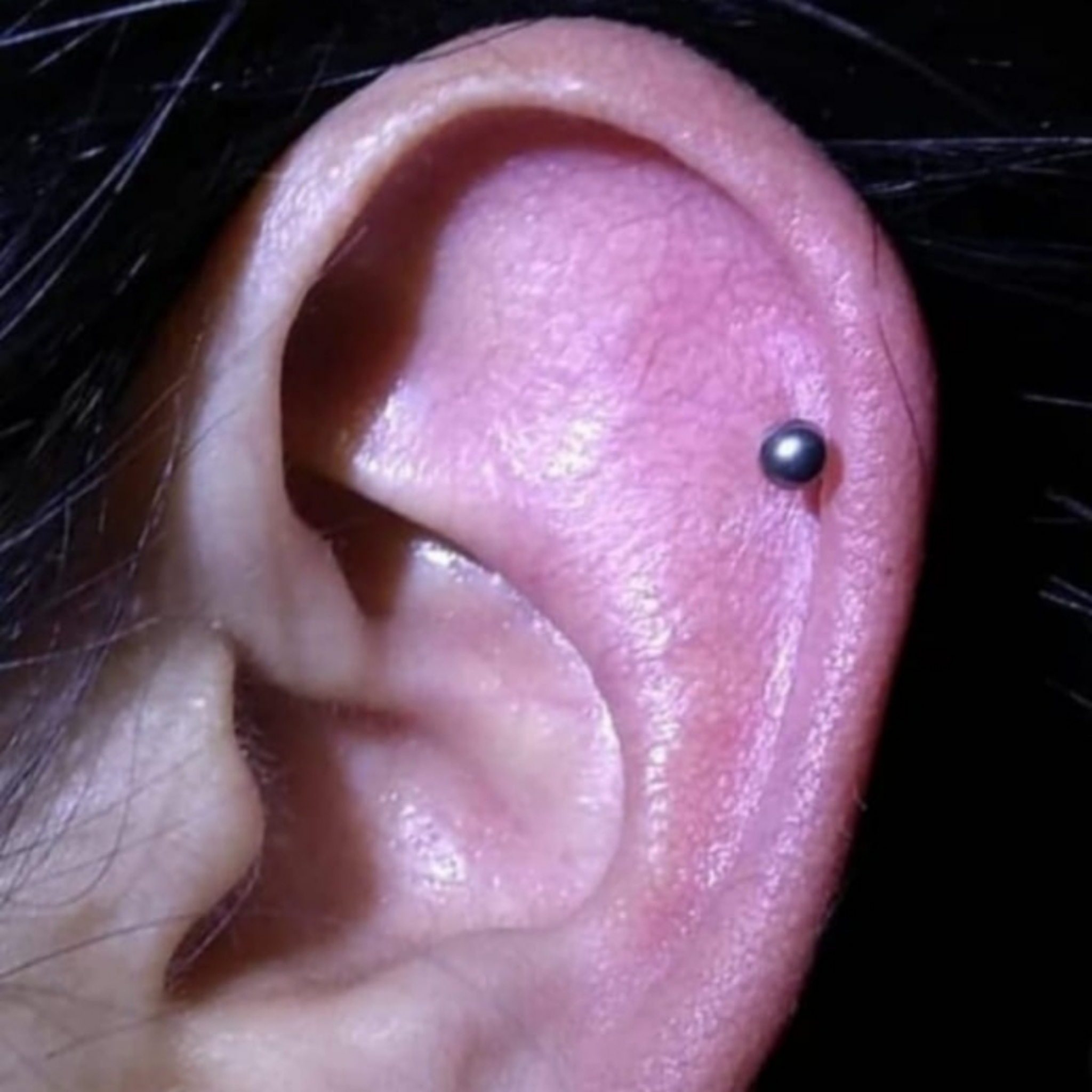Perforación de Helix, Scapha con TITANIO