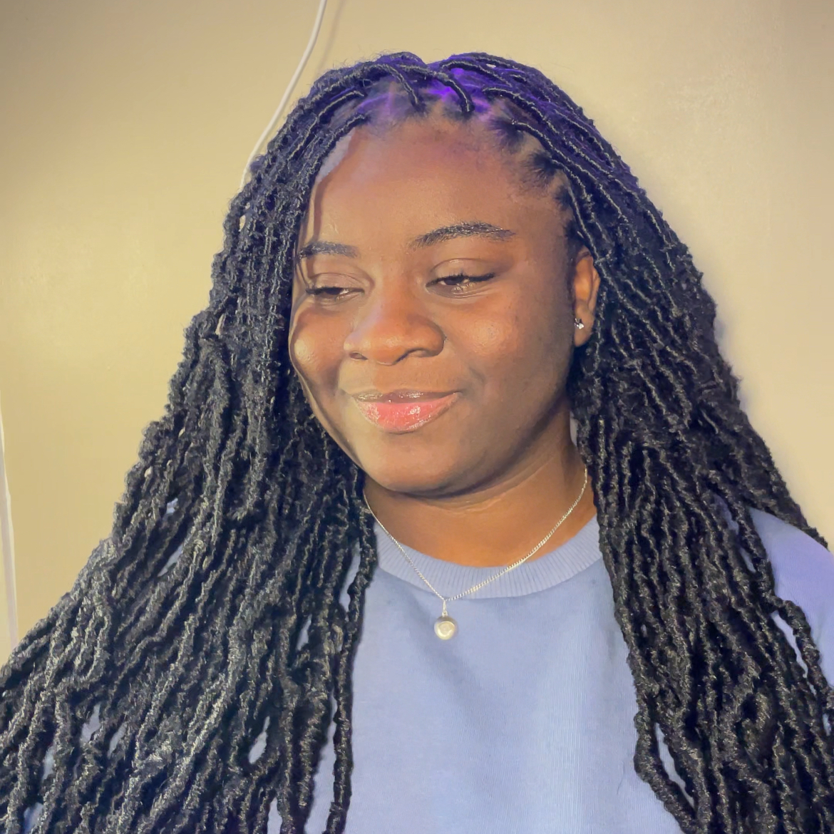 Soft Locs et Tout locs en crochet