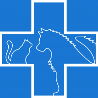 Vétérinaire Isabelle Mathieu