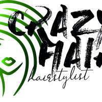 Crazy Hair Hairstylist