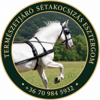 Természetjáró Sétakocsizás Esztergom