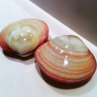 Masáže kouzlo doteku