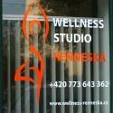 Wellness Studio Renneská