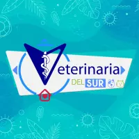 Clínica Veterinaria Del Sur
