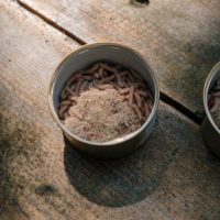 Papa Sherm Bait & Tackle