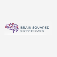 Brain Squared Solutions Inc.