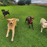 Moorlands Field of Fun