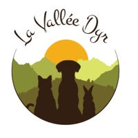 La vallée dyr