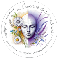 L’Essence des Émotions