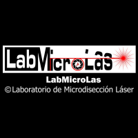 LabMicroLas