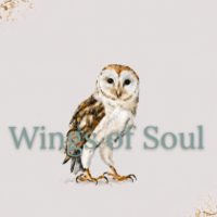 Wings of Soul
