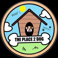 THE PLACE 2 DOG
