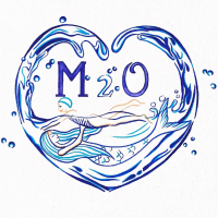 centre aquatique des Avirons m2o