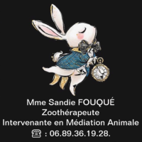 Sandie Zoothérapie / Médiation Animale
