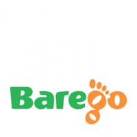 Barego