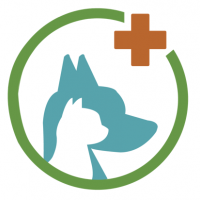 Clínica Veterinaria San Ignacio Arica