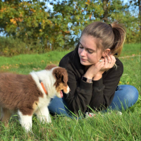 Objectif Bonheur Petsitting