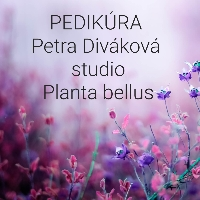 Planta bellus