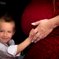 My Butterfly Dream Photography