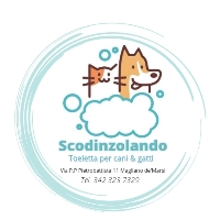 Scodinzolando Toeletta