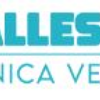 Vetepet