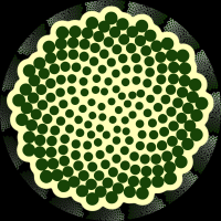 Biznaga Red Creativa