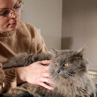 Mathilde Bornowski Ostéopathe pour animaux