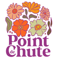 POINT DE CHUTE
