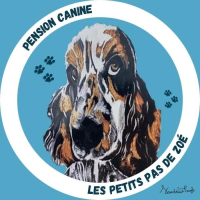 Les Petits Pas De Zoé