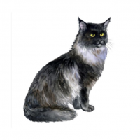 Toilettage Mobile Le Pachat