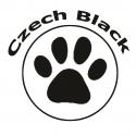 CzechBlack Frisbeeland