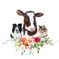 Veterinární ambulance Amálka