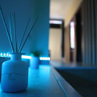 Wellness Paradiso Cologno Monzese
