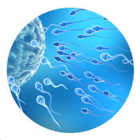 CERMED BRNO OBJEDNÁNÍ