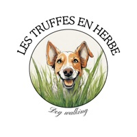 Les truffes en herbe