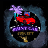 Shiny’carconcept