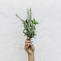 T/S ateliér Napelynek