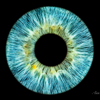 Hypnosepraktijk Ann Fieuw CommV