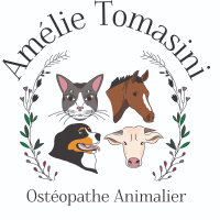 Amélie Tomasini - Ostéopathe Animalier OA1471