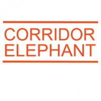 CORRIDOR ELEPHANT