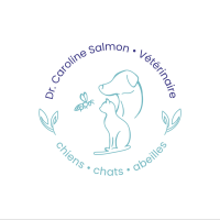 Dr SALMON Caroline