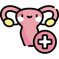 Centro Medico Vival, Servicio de Ginecología y Obstetricia