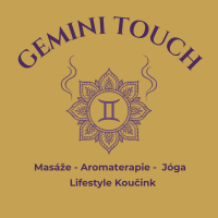 Gemini touch