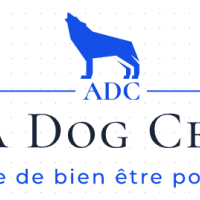 Aqua Dog Center