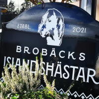 Brobäcks islandshästar