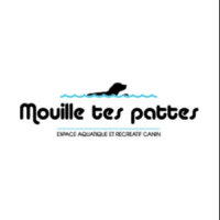 MOUILLE TES PATTES