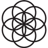 Barbara Yoga Healing