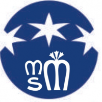 FONDAZIONE VILLA SALUS