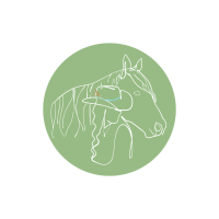 Equi Harmony | Mariana Allegrini