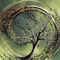 Cottrell Hypnose Le Lion d'Angers